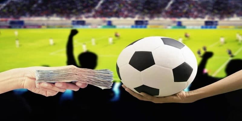 Kinh nghiệm chơi cá độ bóng đá - Bí kíp thành công  7 Kinh nghiệm chơi cá độ bóng đá