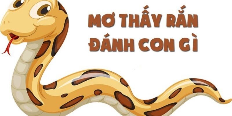 Nằm Mơ Thấy Rắn Đánh Con Gì - Gợi Ý Chi tiết Từ 77BET  2 Tìm hiểu ý nghĩa của những giấc mơ liên quan đến rắn