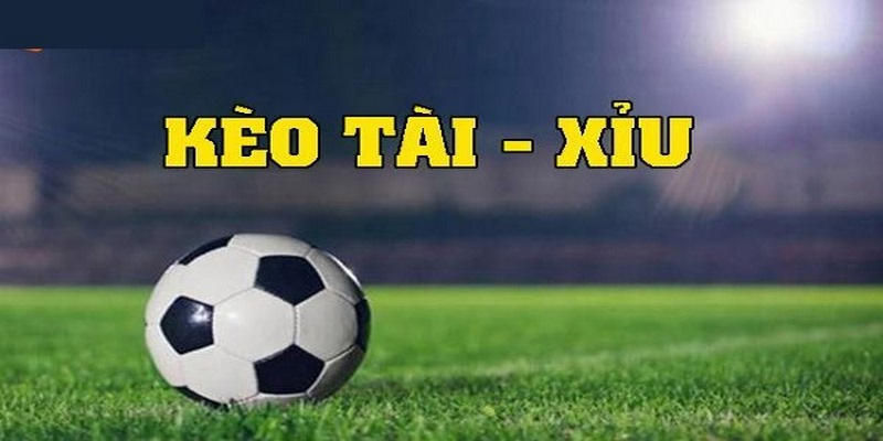 Cách Tính Tiền Cá Độ Bóng Đá Chuẩn Ai Cũng Cần Nắm Rõ  3 Kèo tài xỉu cũng có cách tính tiền lời tương tự kèo châu Á
